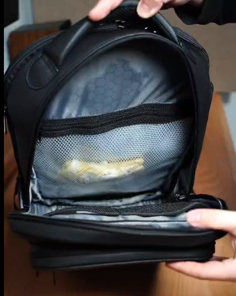CedurithFlux Business 02 Backpack